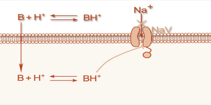http://www.esciencecentral.org/