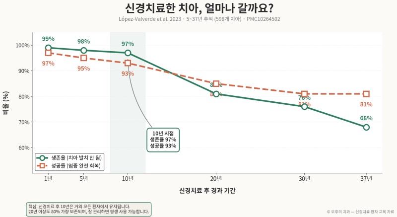 신경치료 생존율 그래프